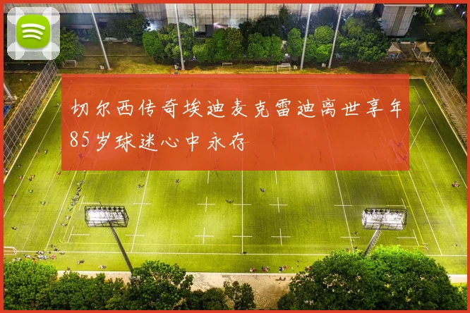 切尔西传奇埃迪麦克雷迪离世享年85岁球迷心中永存