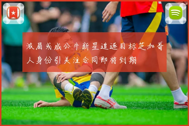 浓眉或成公牛新星追逐目标芝加哥人身份引关注合同即将到期